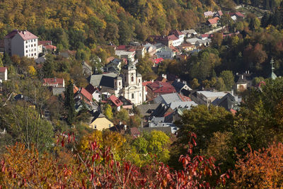 High angle view of trees and buildings in city