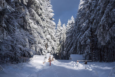 Scenic view of snow covered mountain