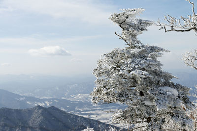 Low angle view of snow covered mountain against sky