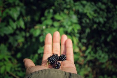 Midsection of person holding fruit