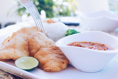 Close-up of food served in plate