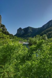 Scenic view of green landscape against clear blue sky