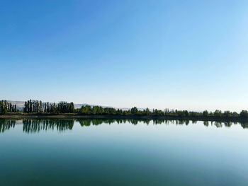 Scenic view of lake against clear blue sky