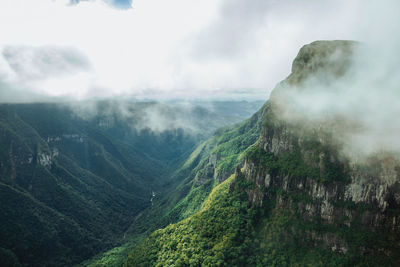 Fortaleza canyon with steep rocky cliffs and forest in a cloudy day near cambará do sul. brazil.