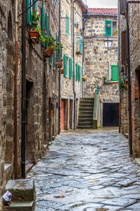 Alley amidst buildings in town