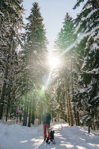 Rear view of man walking on snow covered landscape