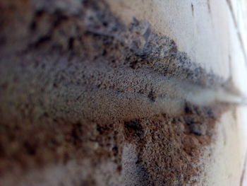 Full frame shot of rusty metal wall