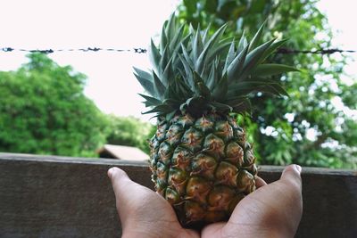 Midsection of person holding fruits