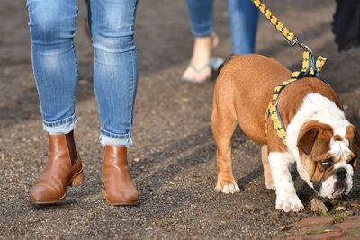 Low section of people with dog standing on street