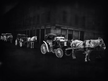 Horse cart against sky at night