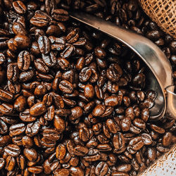 High angle view of coffee beans