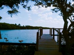 View of lake