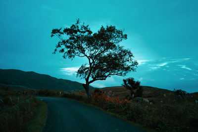 Road amidst trees on field against sky