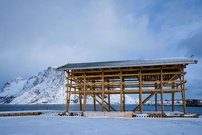 Drying flakes for stockfish cod fish in winter. lofoten islands, norway