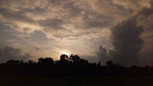 Silhouette trees on field against sky at sunset