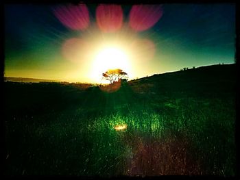 Scenic view of grassy field against sky at sunset