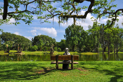 Rear view of woman sitting on bench at park