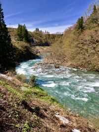 Scenic view of river amidst trees against sky