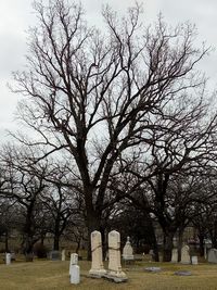 Bare trees in cemetery against sky