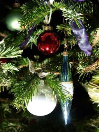 Low angle view of christmas tree