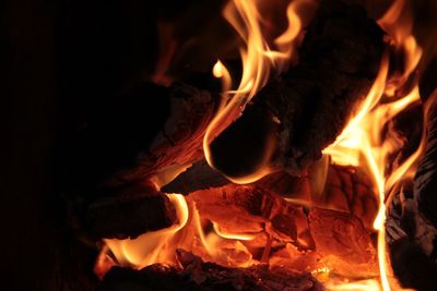 Close-up of bonfire at night