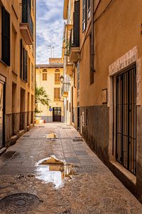 Narrow alley amidst buildings in town