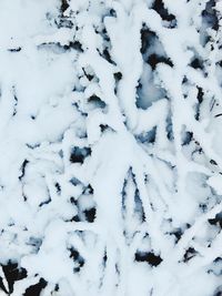 Full frame shot of snow