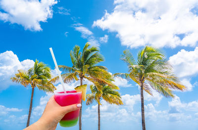 Hand holding a glass with cocktail and straw and beautiful palm trees in blue sky background