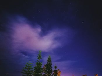 High section of trees against blue sky and clouds