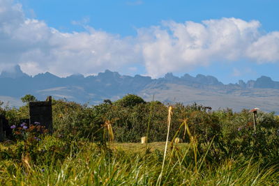 Batian peak, mount kenya's highest peak seen from castle forest lodge, kenya