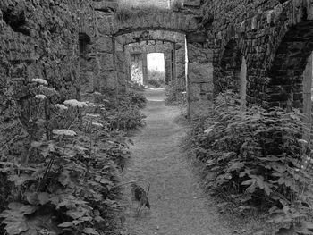 Stone wall in old ruin