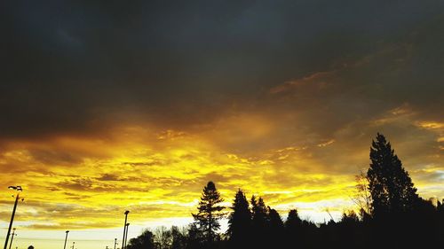 Silhouette trees against dramatic sky