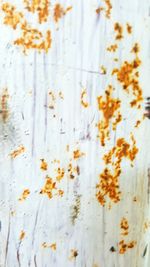 Full frame shot of patterned wall