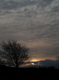 Silhouette tree against dramatic sky