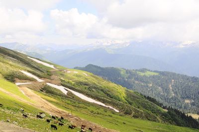 Scenic view of landscape against sky