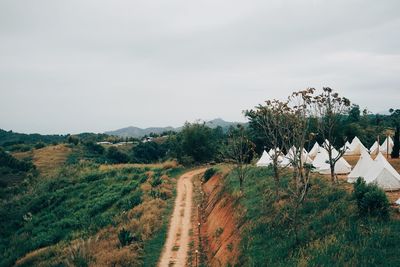 Panoramic shot of road amidst trees against sky