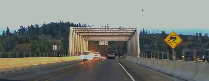 Road with trees in background