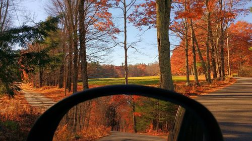 Scenic view of trees during autumn