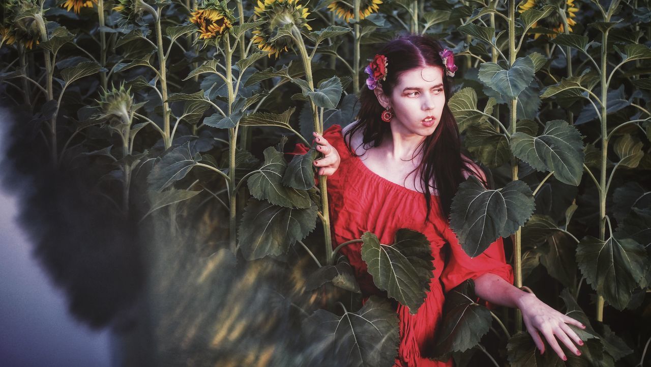 one person, plant, women, portrait, young adult, nature, adult, red, flower, clothing, looking at camera, autumn, fashion, female, three quarter length, growth, leaf, land, plant part, hairstyle, outdoors, front view, beauty in nature, dress, smiling, lifestyles, looking, child