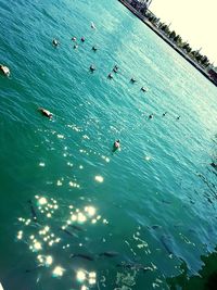 High angle view of people in sea