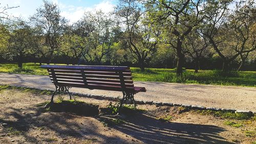 Empty bench in park