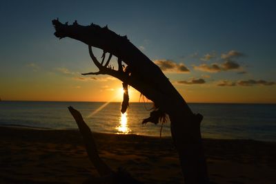 Silhouette driftwood on beach against sky during sunset