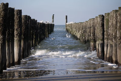 Sea against clear sky