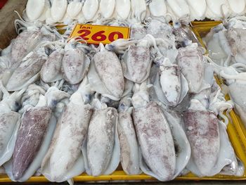 High angle view of fish for sale in market