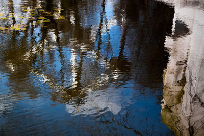 Reflection of trees in lake