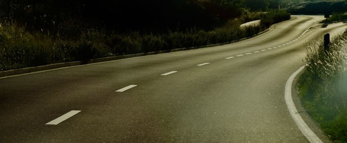 Empty road along trees and plants in city