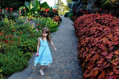 Full length of girl walking amidst plants on footpath at park