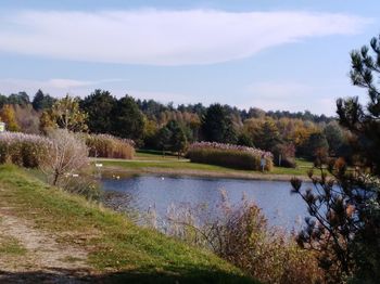 Scenic view of lake and trees against sky