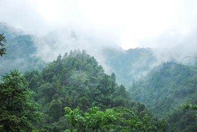 Scenic view of forest and mountains against sky