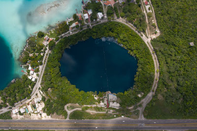 Scenic view of sea by trees against sky